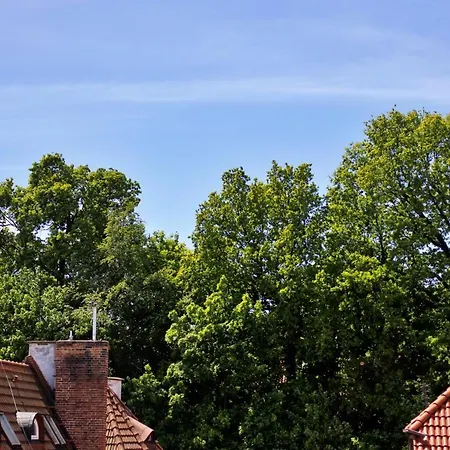 On The Roof * Sopoty